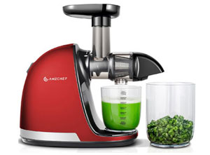 Best Juicer for Celery